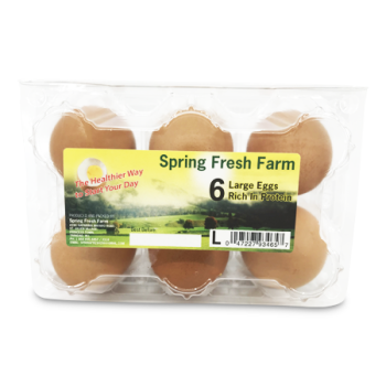 SPRING FRESH FARM 6 LARGE EGGS 