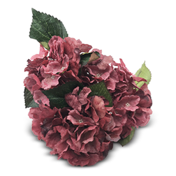 ESSENTIALS BURGUNDY HYDRANGEA FLOWERS 