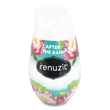 RENUZIT AFTER THE RAIN CONE 198G