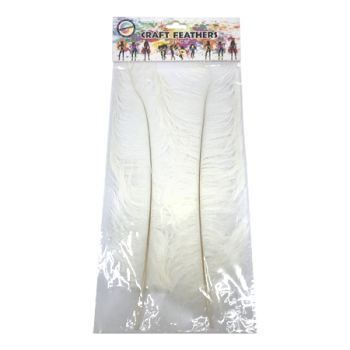 ESSENTIALS WHITE CRAFT FEATHERS 2PCS 