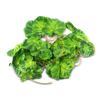 ESSENTIALS GREEN VINE 