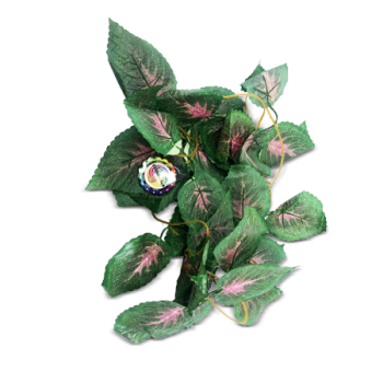 ESSENTIAL GREEN VINE 