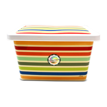 MS IMPORTS LG PLASTIC CONTAINER 