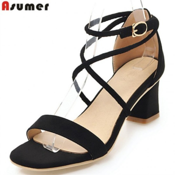 Ladies Shoe