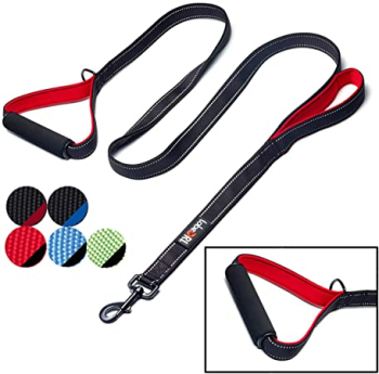 Leashes